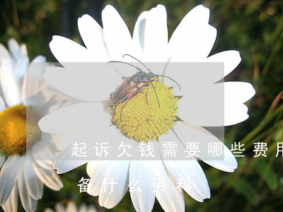 起诉欠钱需要哪些费用(起诉欠钱的人需要准备什么资料)