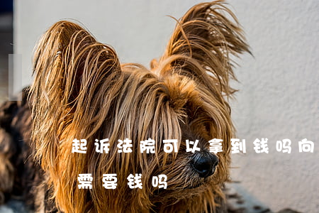 起诉法院可以拿到钱吗(向人民法院提起诉讼需要钱吗)