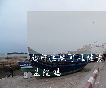 起诉法院可以随意选择吗(法院违法可以起诉法院吗)