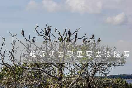 起诉状去哪里写(去法院写起诉状)