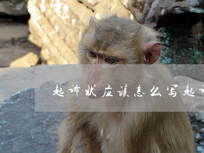 起诉状应该怎么写(起诉状案由怎么写)