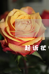 起诉状律师可以代签姓名
