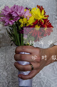 起诉状逾期付款违约金-逾期付款违约金诉讼时效