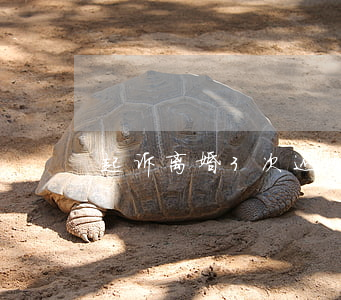 起诉离婚3次还没判离怎么办