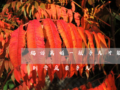 起诉离婚一般多久才能开庭(离婚案件从起诉到开庭要多久)