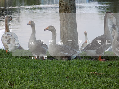 起诉离婚三次能离掉吗(离婚需要起诉几次才能离)