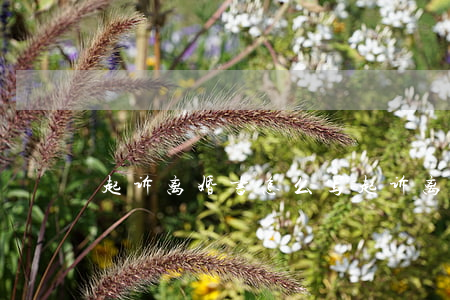 起诉离婚书怎么写(起诉离婚书怎么写范本)