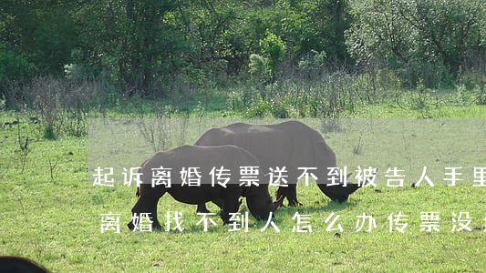 起诉离婚传票送不到被告人手里怎么办(起诉离婚找不到人怎么办传票没地方送怎么办)