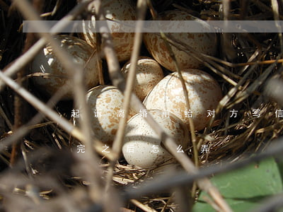 起诉离婚前给对方写信怎么写(离婚起诉书写完之后怎么弄)