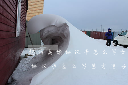 起诉离婚协议书怎么写女方电子版(起诉离婚协议书怎么写男方电子版)