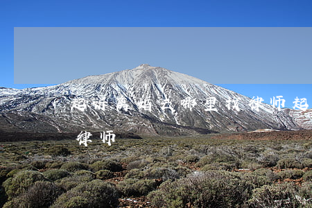 起诉离婚去哪里找律师(起诉离婚怎么找个好律师)