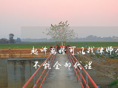 起诉离婚可以找律师全部代理吗(离婚律师能不能全部代理?)