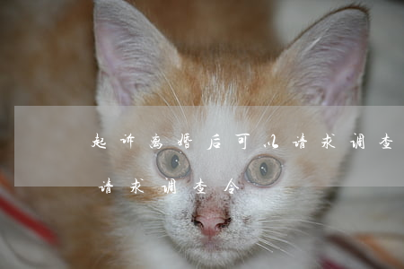 起诉离婚后可以请求调查令(起诉离婚后可以请求调查令)