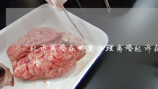 起诉离婚在哪里办理(离婚起诉在哪里起诉离婚)