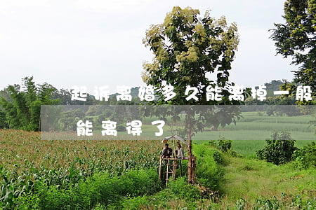 起诉离婚多久能离掉(一般起诉离婚要多久才能离得了)