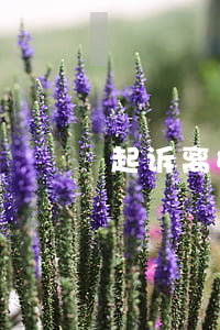 起诉离婚多久能离掉(起诉离婚,多久可以离婚)
