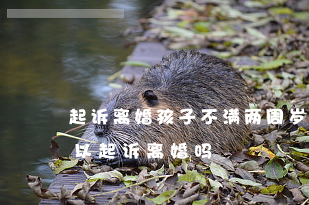 起诉离婚孩子不满两周岁(小孩不满两周岁可以起诉离婚吗)