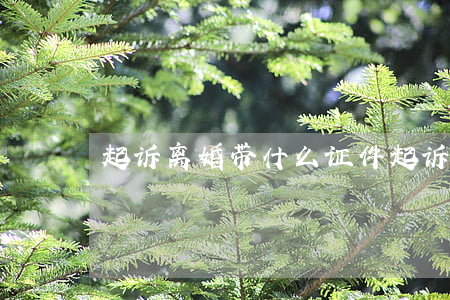 起诉离婚带什么证件(起诉离婚 带什么)