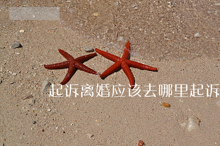 起诉离婚应该去哪里起诉(离婚要去哪里起诉)