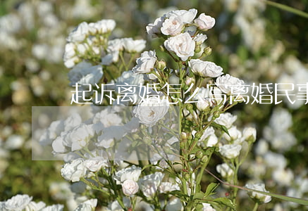 起诉离婚怎么写(离婚民事起诉状怎么写)