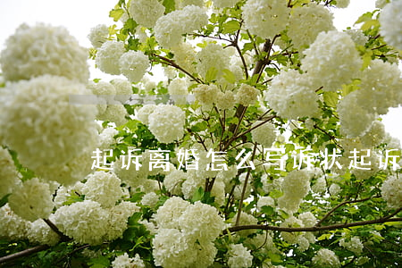 起诉离婚怎么写诉状(起诉离婚怎么写诉状)