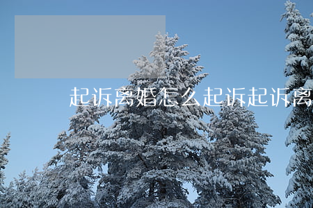 起诉离婚怎么起诉(起诉离婚怎么起诉的)