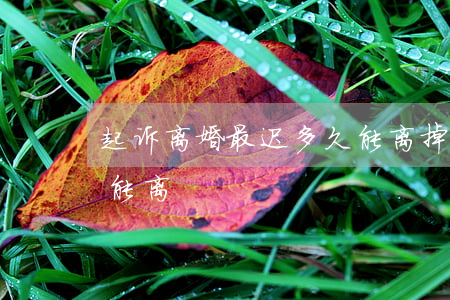 起诉离婚最迟多久能离掉(起诉离婚需要多久能离)
