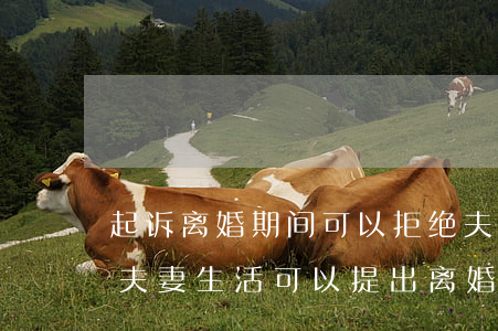 起诉离婚期间可以拒绝夫妻生活(妻子拒绝过夫妻生活可以提出离婚吗)