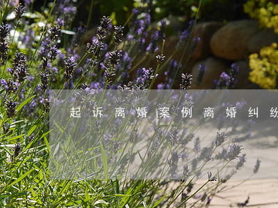 起诉离婚案例(离婚纠纷起诉状案例)