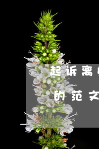 起诉离婚案由怎么写(起诉离婚怎么写起诉书的范文)