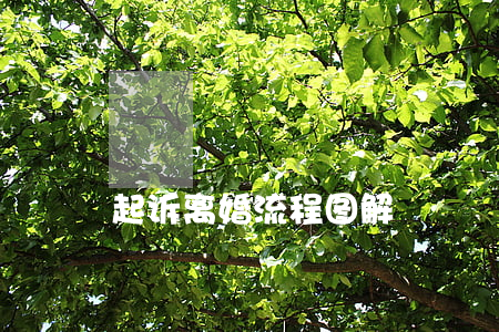 起诉离婚流程图解