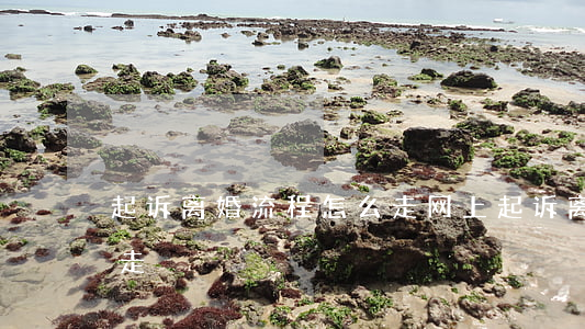 起诉离婚流程怎么走(网上起诉离婚流程怎么走)