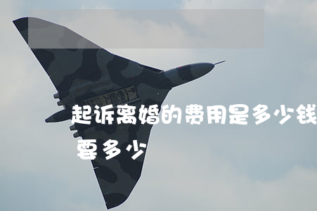 起诉离婚的费用是多少钱(一般起诉离婚费用要多少)