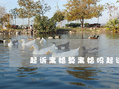 起诉离婚算离婚吗(起诉离婚就一定能离婚吗?)