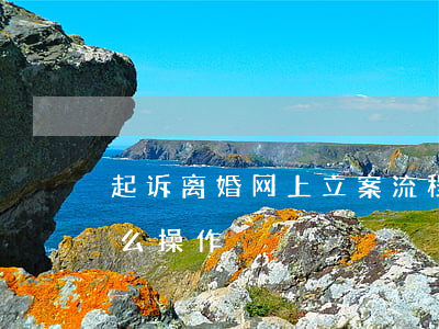 起诉离婚网上立案流程(离婚起诉网上立案怎么操作)