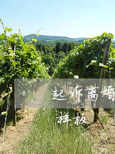 起诉离婚诉状怎么写范文(起诉书怎么写离婚样板)
