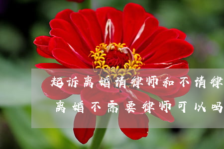 起诉离婚请律师和不请律师的区别(法院起诉离婚不需要律师可以吗)
