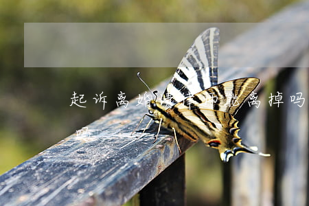 起诉离婚请律师能离掉吗(离婚被告要请律师吗)