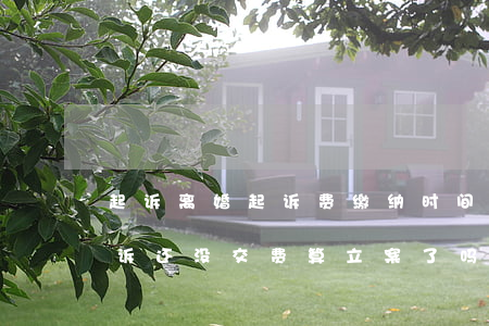 起诉离婚起诉费缴纳时间逾期未交-离婚起诉还没交费算立案了吗