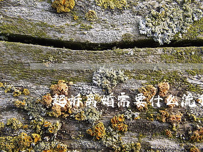 起诉离婚需要什么流程(怎么起诉离婚的流程)