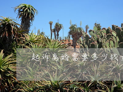 起诉离婚需要多少钱 女方(女方起诉离婚费用)