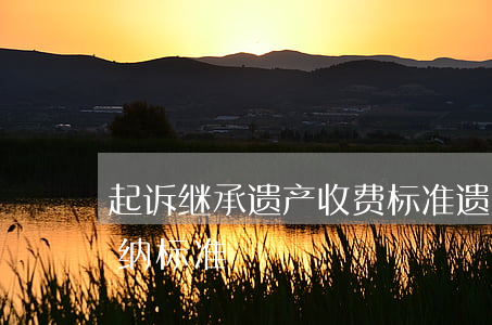 起诉继承遗产收费标准(遗产继承诉讼费用交纳标准)