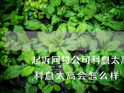 起诉网贷公司利息太高-如果起诉网贷公司利息太高会怎么样