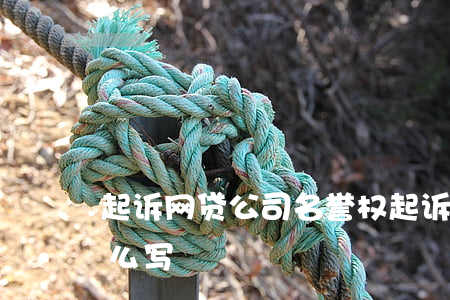起诉网贷公司名誉权 起诉网贷公司名誉权怎么写
