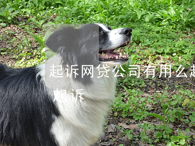 起诉网贷公司有用么(起诉网贷公司要到哪里起诉)
