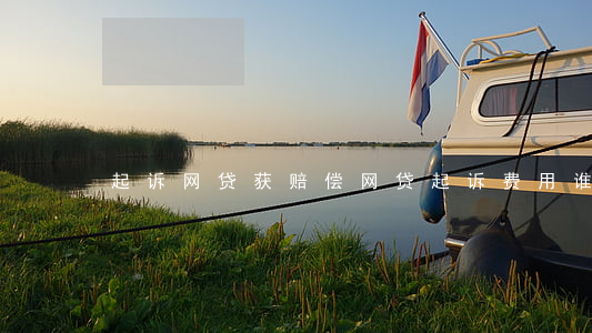 起诉网贷获赔偿(网贷起诉费用谁承担)