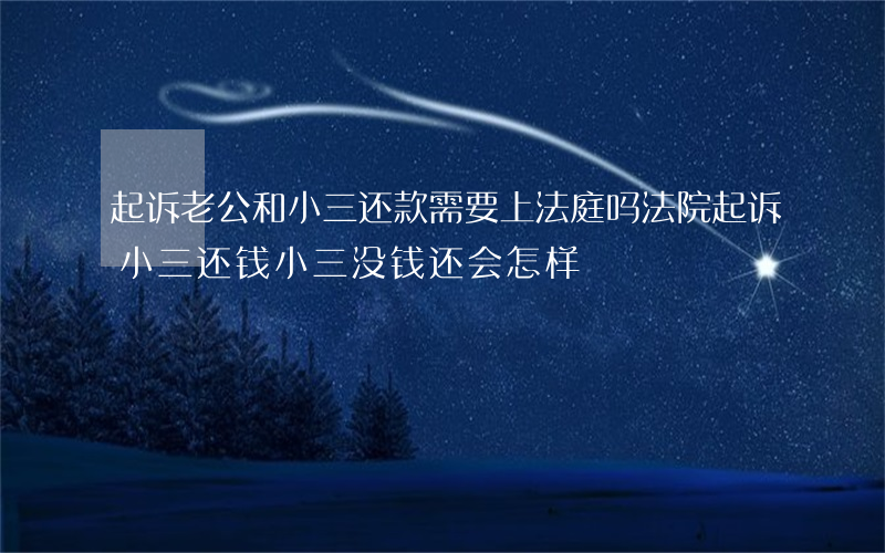 起诉老公和小三还款需要上法庭吗(法院起诉小三还钱,小三没钱还会怎样)
