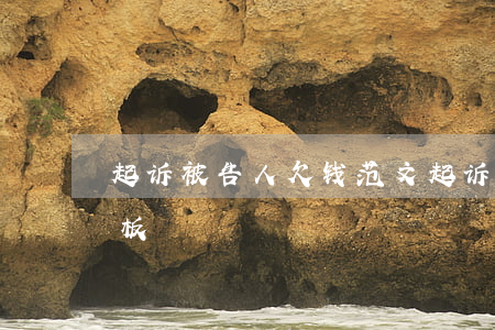 起诉被告人欠钱范文(起诉被告人欠钱范文模板)