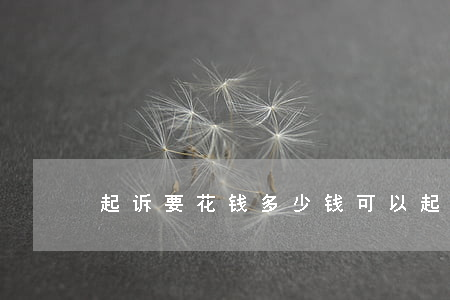 起诉要花钱多少钱可以起诉(多少钱能起诉)