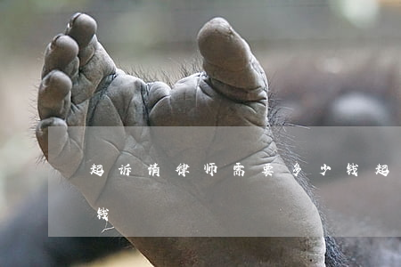 起诉请律师需要多少钱(起诉请律师需要多少钱)